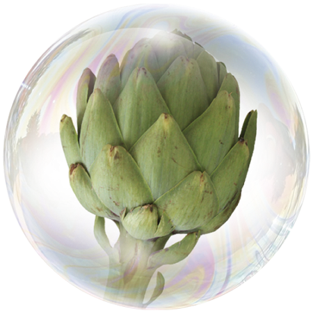Artichoke (Cynara scolymus)**